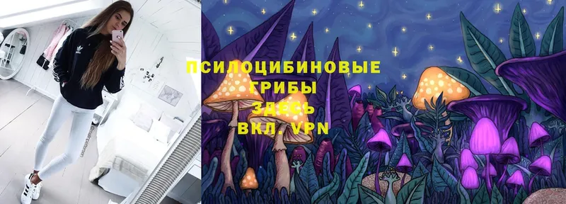 цены   это состав  Галлюциногенные грибы MAGIC MUSHROOMS  Самара 